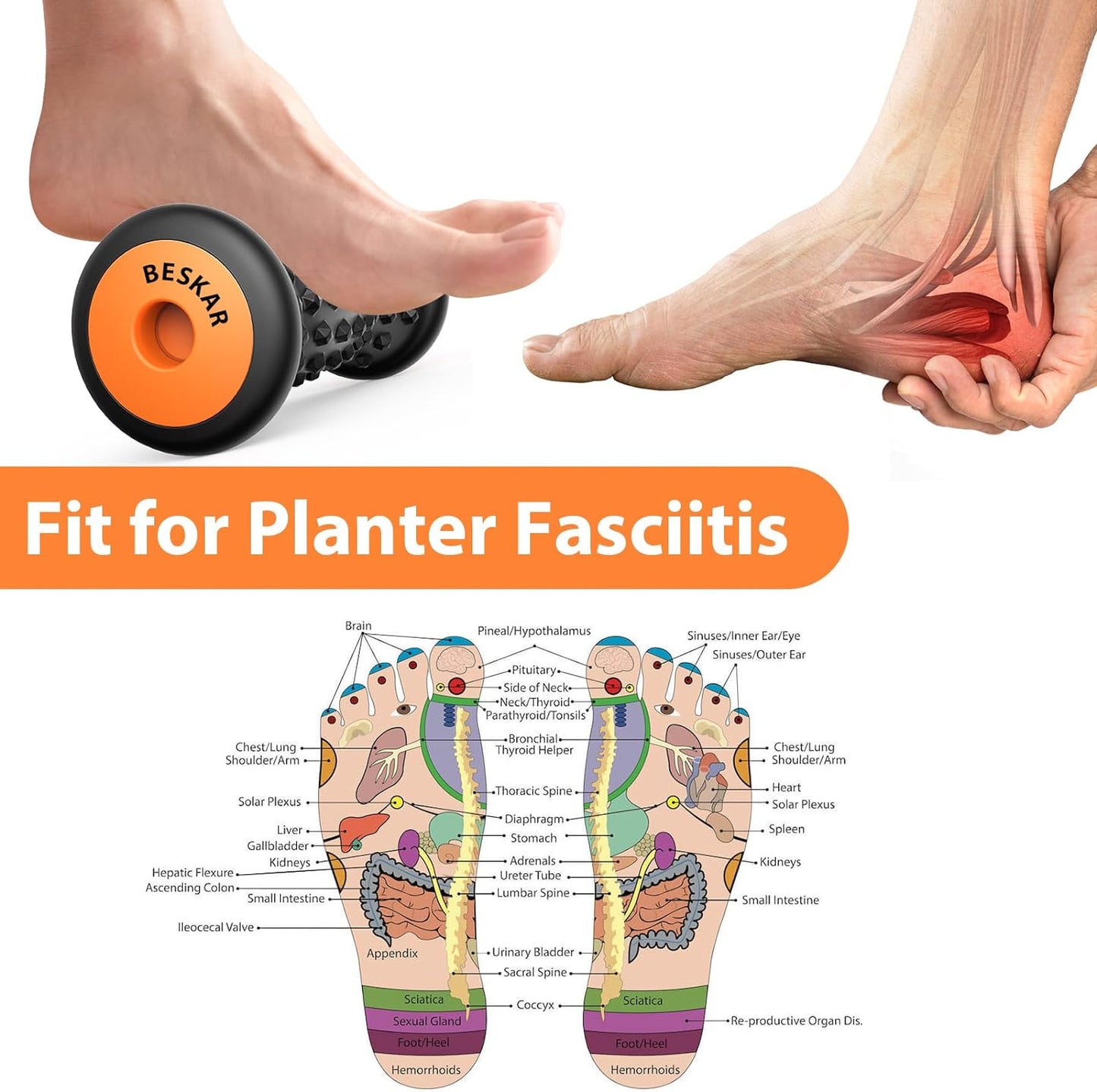Foot Massager Roller for Plantar Fasciitis Relief | Portable Foot Roller to Deep Tissue Muscle Massage, Foot Arch and Heel Pain, Foot Trigger Point Therapy, Reflexology Tool